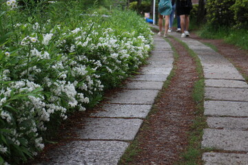 Path of Philosophy in Kyoto, Japan