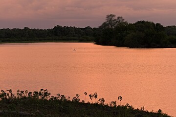 View of the Luangwa River at sunset South Luangwa National Park. Zambia. Africa.