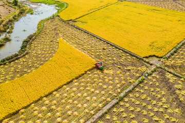 Aerial photography of harvesters harvesting rice in Wuchang City