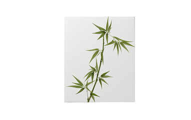 The Single Tile Motif Evokes Bamboo Forest Serenity and Beauty Isolated on a Transparent Background PNG.