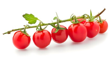 cherry tomato on branch isolated on white background