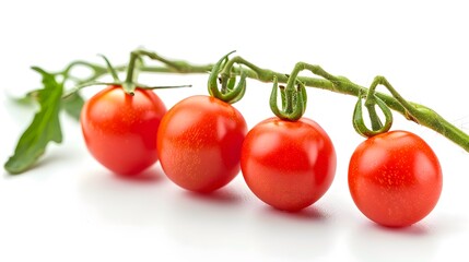 cherry tomato on branch isolated on white background