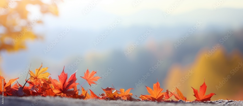 Poster an image of a beautiful autumn landscape with colorful leaves and plenty of copy space