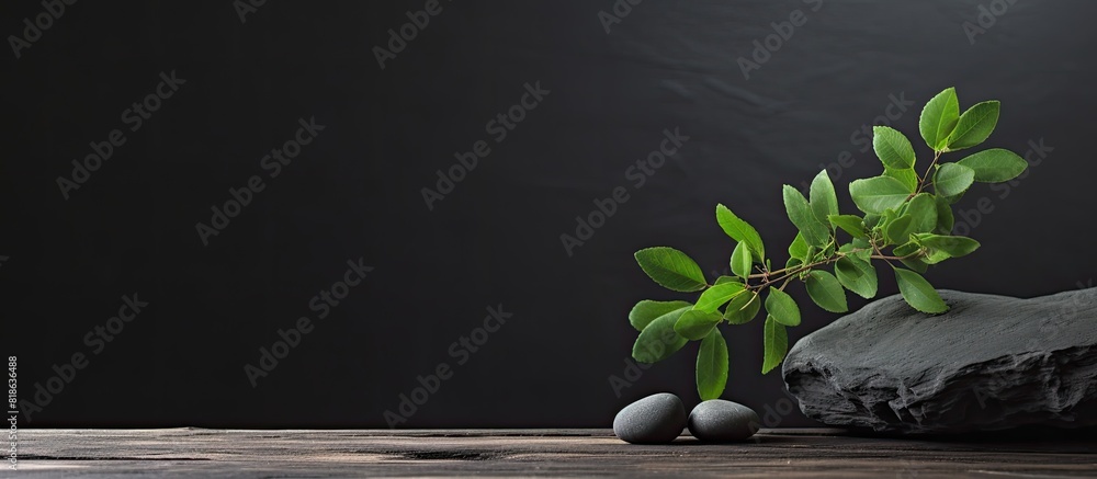 Poster on a wooden background there is a copy space image featuring a black stone and a branch with green p
