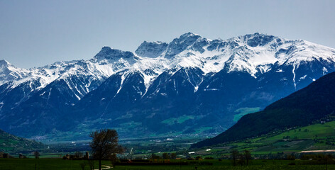 Title: Shaded Green Valley in the Alps in Trentino with Gigantic Snow-Capped Peaks in the Background