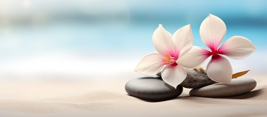 Close up image of spa stones with a flower on a sandy beach offering a beautiful and tranquil copy space image