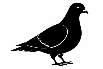  A pigeon silhouette black vector artwork illustration 