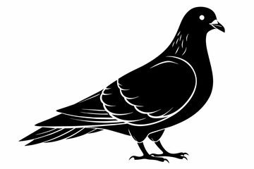  A pigeon silhouette black vector artwork illustration 