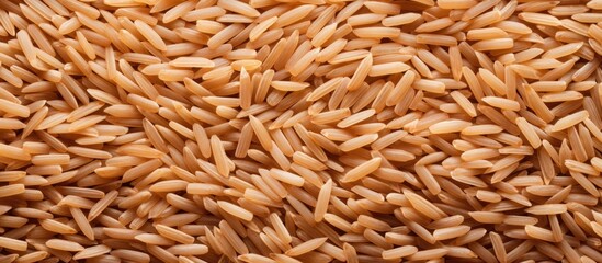 Copy space image of uncooked brown rice illustrating the concept of healthy food
