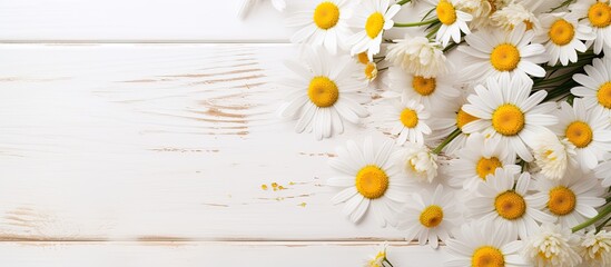A copy space image featuring beauty product samples adorned with chamomile flowers placed on a white wooden table