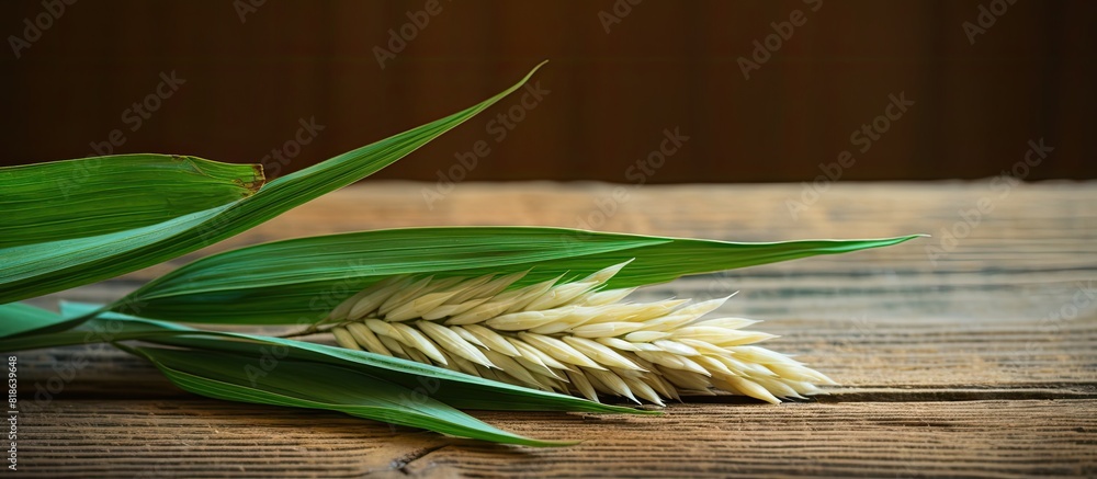 Poster a copy space image of a newly harvested rice spike resting on a rustic wooden surface