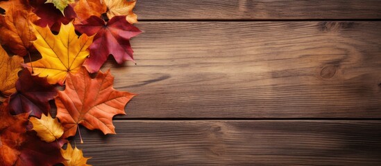 A copy space image of autumn leaves scattered on a rustic wooden surface