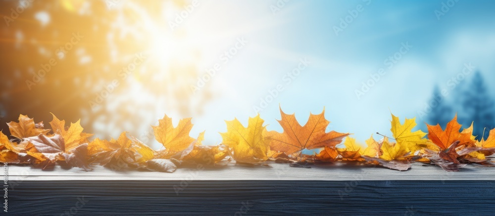 Poster autumn concept of maple leaves on blue boards with scuff marks sun rays shining through vibrant autu
