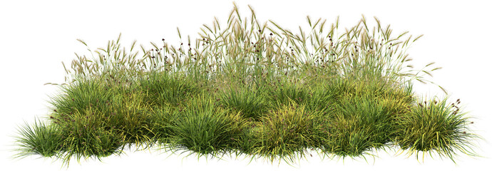 grass line 3 fresh