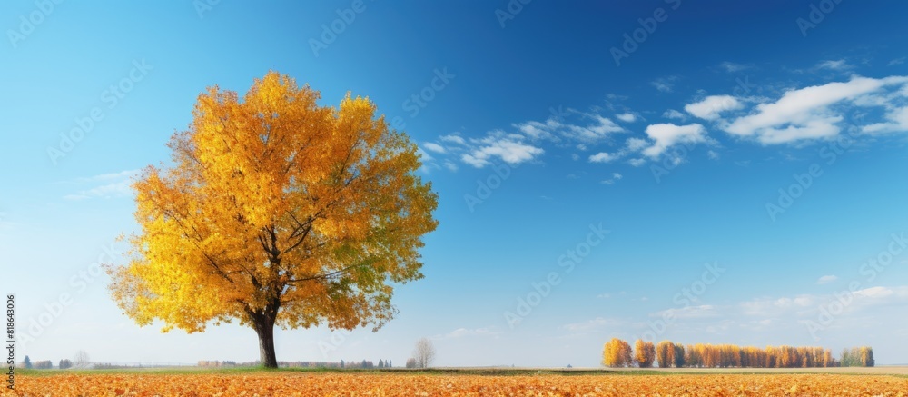 Poster autumn landscape featuring trees with yellowed leaves set against a beautiful blue sky creating a st