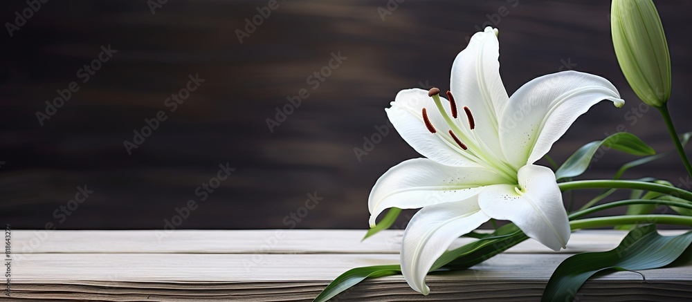 Poster A lily is set against a rustic wooden backdrop providing a captivating copy space image