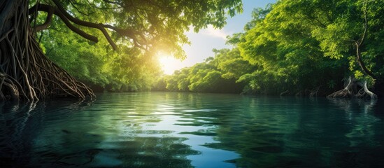 Obraz premium A stunning view of nature s beauty at the periphery of a serene mangrove forest with ample copy space for captivating images