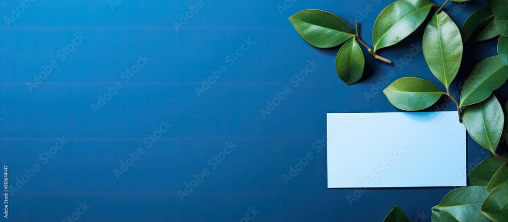 Poster a top down view of a blank card on a blue backdrop highlighted by the shadow of leaves this copy spa
