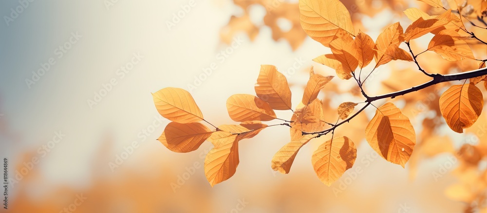 Aufkleber autumn time a season characterized by falling leaves cool temperatures and earthy colors is perfect 