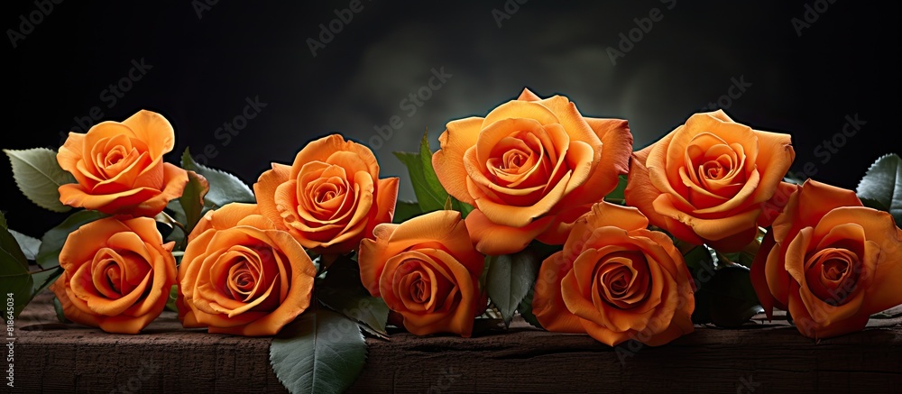 Aufkleber orange roses displayed in copy space image