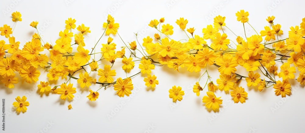 Poster a copy space image featuring yellow flowers arranged as a backdrop on a white surface