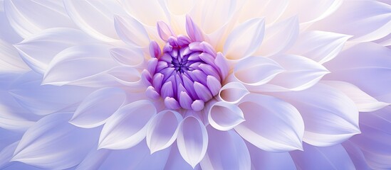 The background of the template features a dahlia flower in purple and white surrounded by a square...