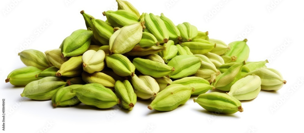 Poster A close up shot displaying green cardamom pods isolated on a white background with copy space available for text or images It represents a spices food and cooking concept