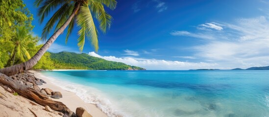 A picturesque beach with a stunning tropical sea. with copy space image. Place for adding text or...