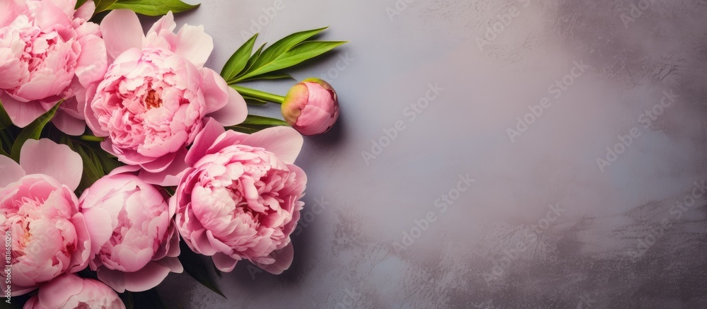 Poster a beautiful arrangement of pink peonies rests on a textured background providing ample copy space fo