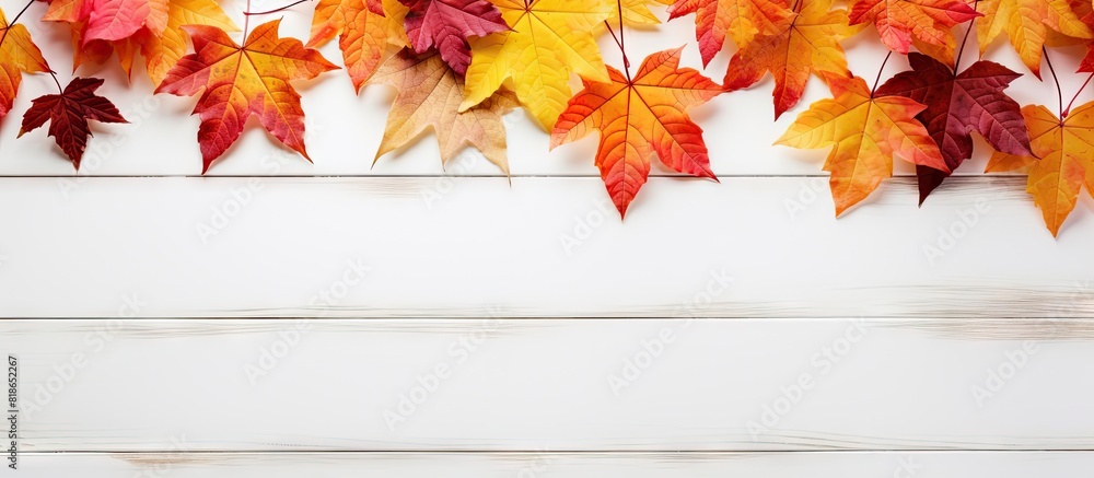Poster autumn leaves provide a vibrant display on a white wooden table creating a stunning copy space image