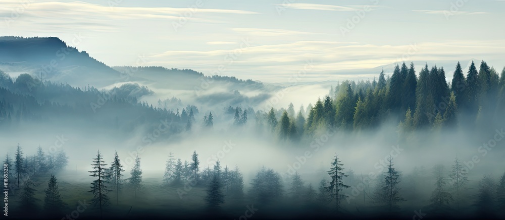 Poster on a misty morning with a foggy ambiance one could observe the tree tops in the forest there is a se