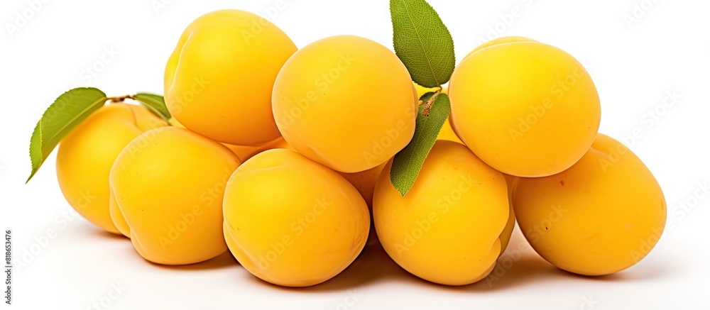 Poster a copy space image featuring ripe and vibrant yellow marian plums sitting fresh and isolated against