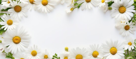 Top view of a white background with a blank frame featuring a mockup Chamomile daisy flower buds add a creative touch to the summer and spring themed copy space image