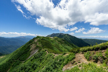 夏の稜線