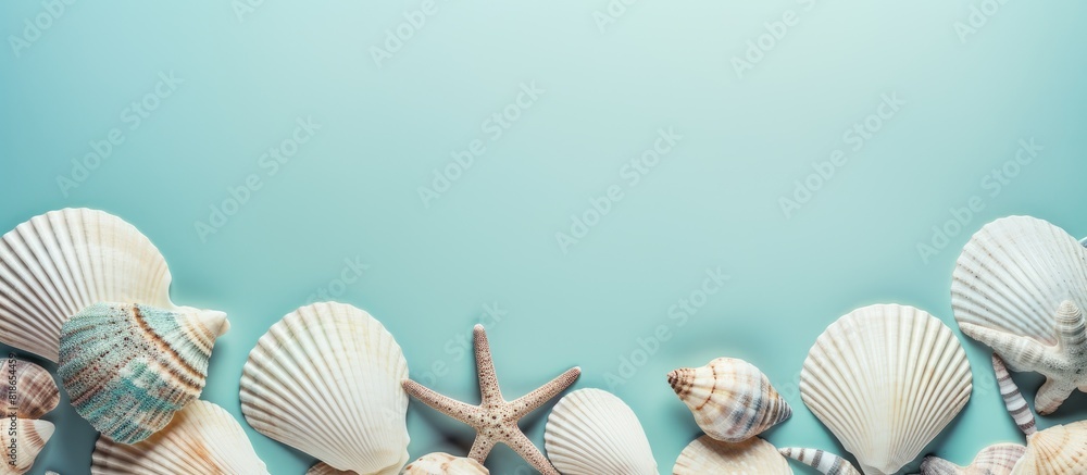 Aufkleber aesthetic monochrome flat lay with seashells on a turquoise background symbolizing summer vacation c