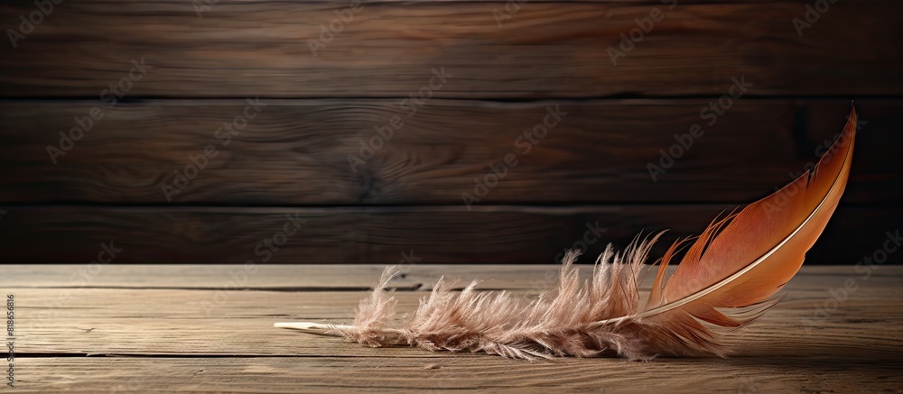 Poster a hawk feather placed on an aged wooden table with empty space for text or images. with copy space i