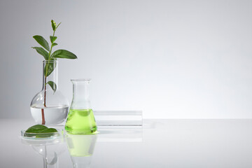 Green tea and laboratory theme photograph on white texture, a boiling flask with a green tea branch decorated, an erlenmeyer flask, a petri dish and blank pedestal placed on the left side of photo