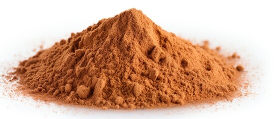 Copy space image of cinnamon powder on a white backdrop