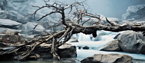 A pile of branches along the Joplin MO waterfall with copy space for an image 70 characters