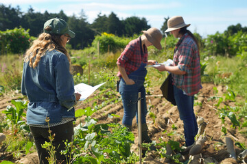 Permaculture design course: Participants sketching garden layouts, implementing principles of sustainability and resilience.
