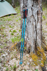 A pair of blue hiking poles hanging from a tree trunk