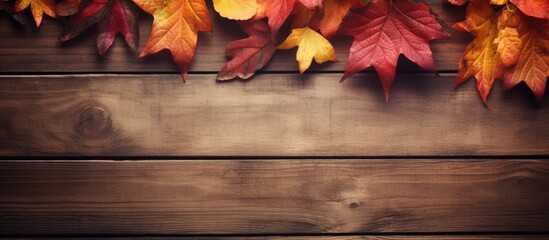 Autumn themed background with a wooden texture featuring copy space image
