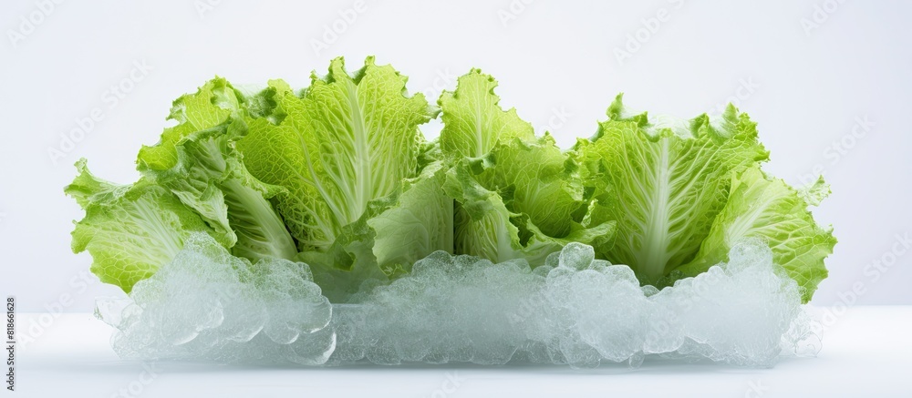 Poster An image of an iceberg lettuce with a white background providing ample copy space for additional content