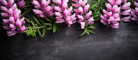 The pink and purple lupine flowers create a border against a black concrete background providing copy space for an image