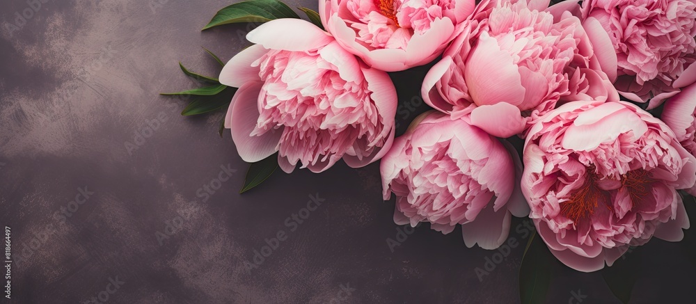 Poster a beautiful arrangement of pink peonies rests on a textured background providing ample copy space fo