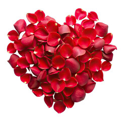 a top view red rose petals on transparent background