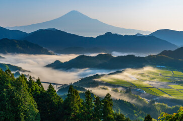 静岡市吉原から夜明けの富士山と雲海