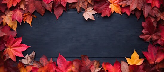 A view looking down onto a copy space image featuring an empty frame surrounded by vibrant red autumn leaves