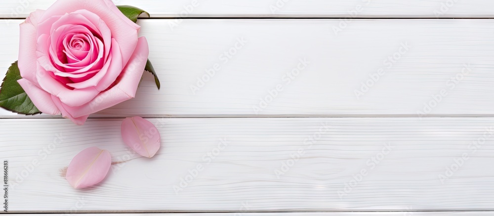Poster copy space image featuring a pink rose heart positioned on a white wooden background with space avai