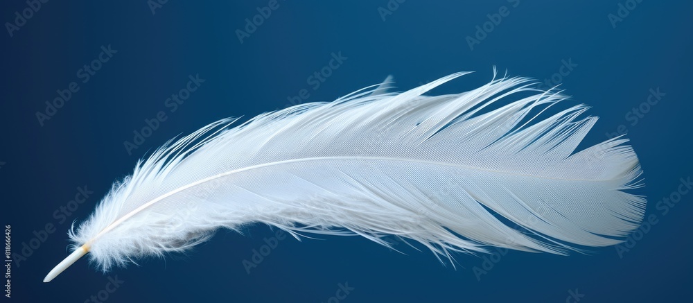 Fototapete a macro shot of white feathers against a blue backdrop with ample space for text or other elements w